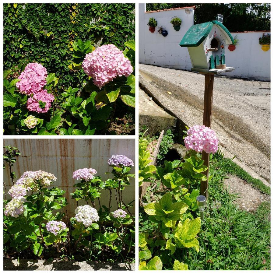 Pousada Das Hortensias Conservatória المظهر الخارجي الصورة
